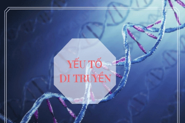 Mua bán online Sản phẩm chính hãng