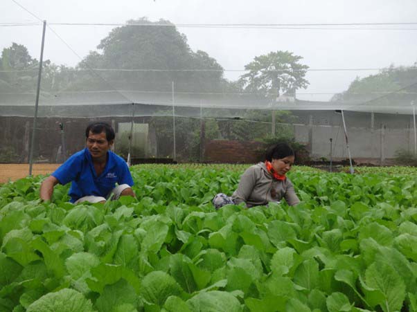 Mua bán online Sản phẩm chính hãng