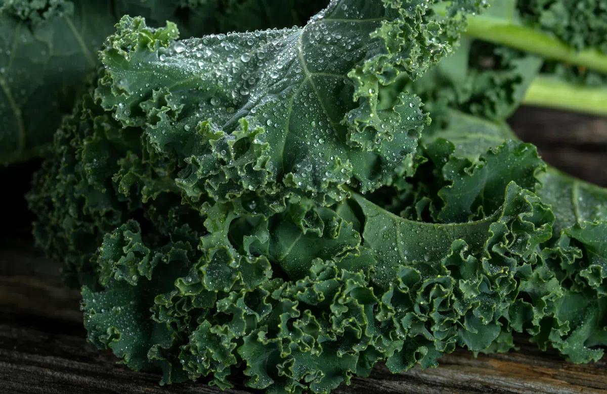 Mua bán online Sản phẩm chính hãng